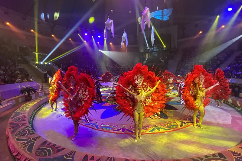 Акция «Цирк первоклассникам» стартовала в Тульском цирке.